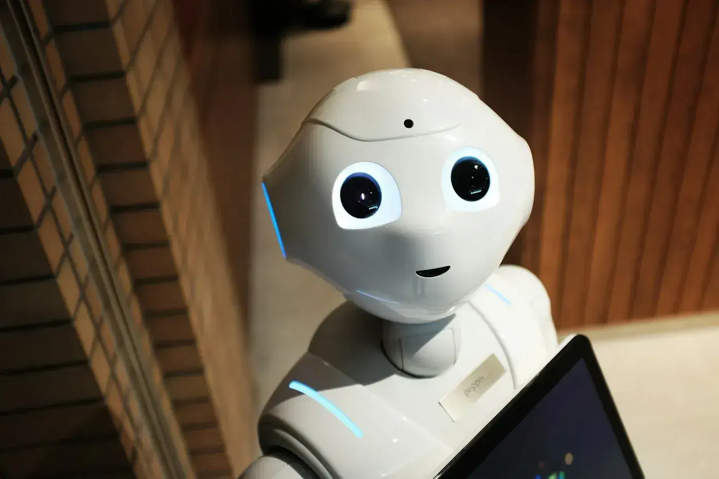 Pick & Place Robot